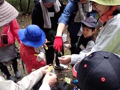 写真:みんなで輪になって拾った葉を見せっこする様子