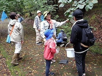 写真:虫をさがしながら歩く様子