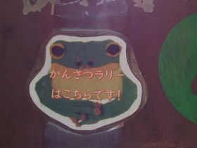 写真:上部にカエルのシールが貼ってあるボード