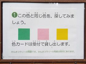 写真:ボードに3つの色見本が示してあり、色の問題「見本と同じ色を探してみましょう」と書いてある