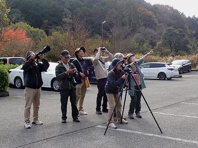 写真:スコープやカメラで野鳥を見る参加者たち