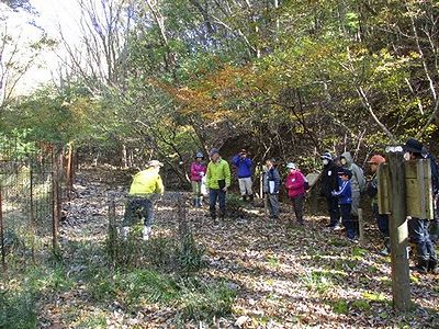 写真:柵の中と外で植物の成長具合が違う様子を見る参加者