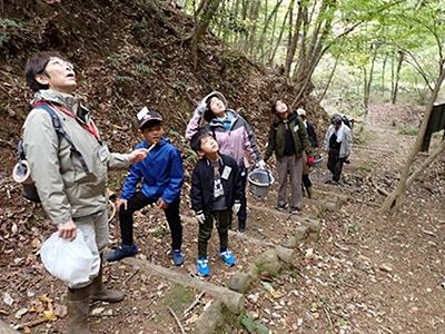 写真:樹上を見上げる参加者たち