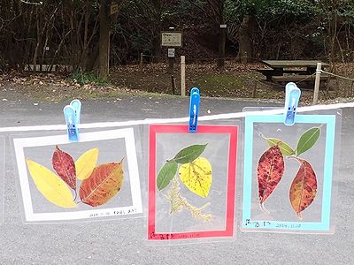 写真:いろいろな色の葉を散りばめた作品