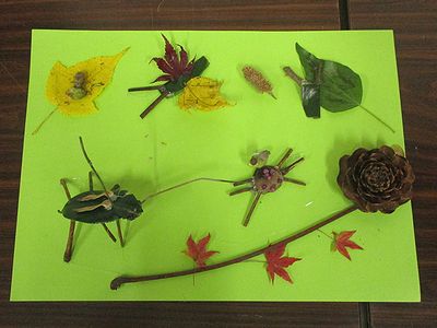 写真:葉や枝を体や足、触覚に見立てて作った昆虫たち
