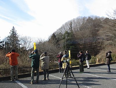 写真:みんなで双眼鏡を覗いている。