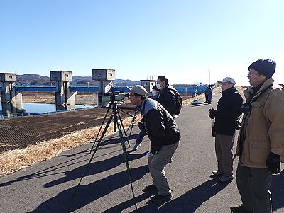 写真:川にいる野鳥をスコープで見る参加者