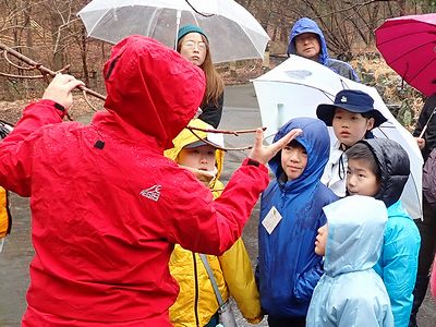 写真:レンジャーの話を真剣に聞く子どもたち