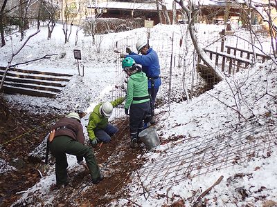 写真:雪の残る斜面で柵をはる参加者たち、網を支える人、水平に調整する人など
