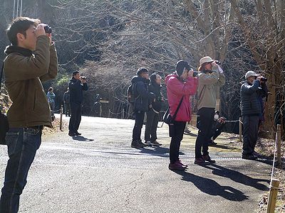 写真：双眼鏡で鳥を探す参加者たち、みんな同じ方向を向いじっとしている