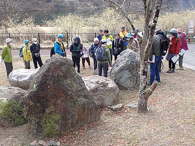 写真:庭石のように置かれた岩石の説明を受ける参加者