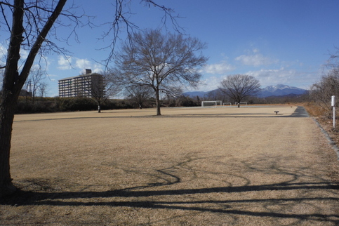 写真：間ノ島公園