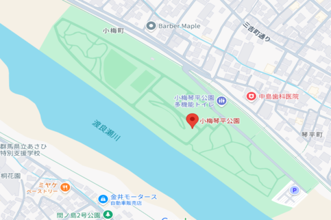 写真：小梅琴平公園（地図）