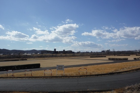 写真：小梅琴平公園
