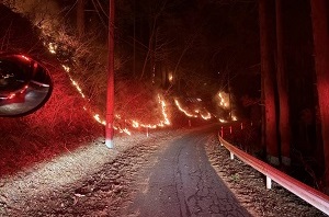 写真:延焼の様子