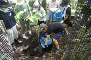 写真:子どもたちが植樹している様子