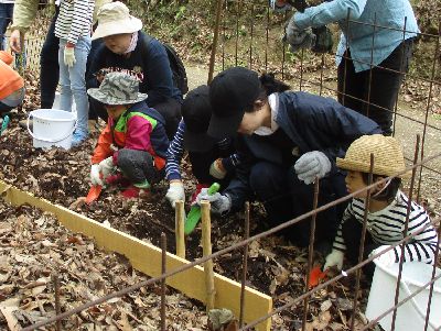 写真:腐葉土をシャベルや手で掘り起こす