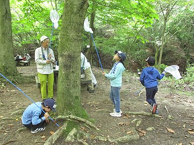 写真：虫あみを持って虫取りにチャレンジする子どもたち