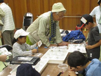 写真：捕まえた生きものを図鑑で調べたりスケッチする子どもたち