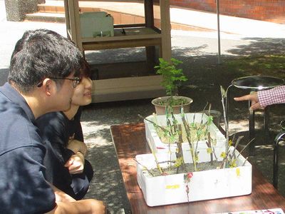 写真:棒の先にとまり翅をひろげようとしているキアゲハに見入っている来園者