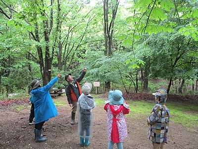 写真:トチノキの木陰で見る力や聞く力を養う