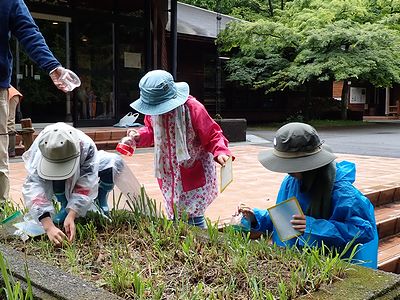 写真:カマキリやバッタを見つけた子どもたち