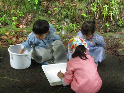写真:バケツやバッドの中にいる生きものに触る子どもたち