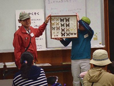 写真：標本箱見せながら話すレンジャー