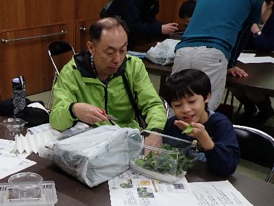 写真：食草の葉っぱとイモムシを虫かごへ入れる親子