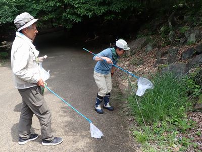 写真:捕虫網を持って草むらで虫を探す