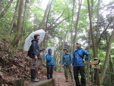 写真:山の花を見たり、雨の音、風の音を感じながら