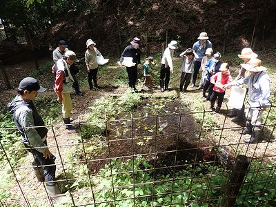 写真:小さな止水の池を囲んで覗き込んでいる様子