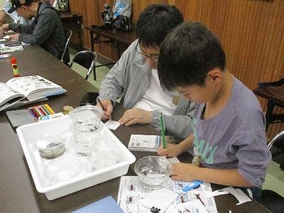 写真:一匹づつケースに入れた生きものを親子でスケッチしている