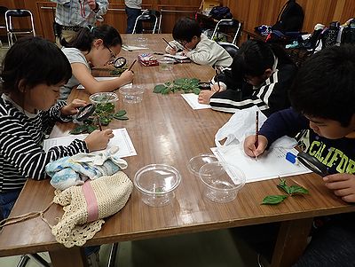 写真:集中して植物のスケッチをする子どもたち