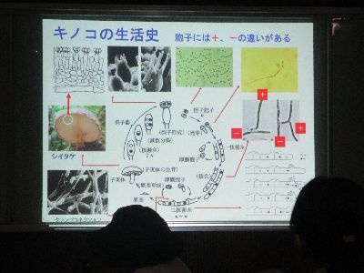 写真：プロジェクターを使っての講義