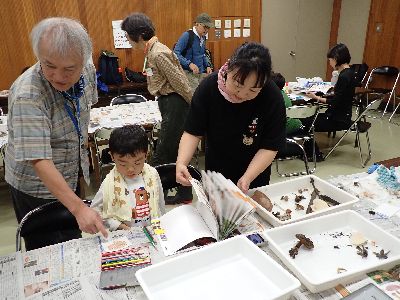 写真：講師と親子で図鑑で調べている様子