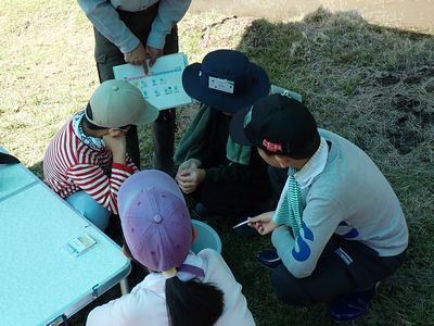写真:色の変わったpH試験紙を比較表と見比べる子どもたち