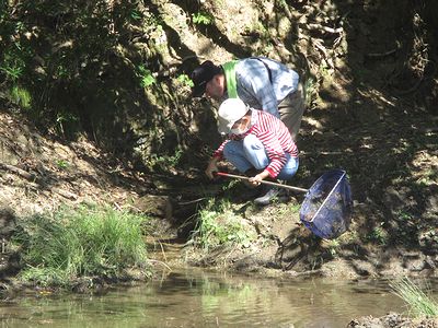 写真:網を手にして、水の中の様子を見る子どもと指導員