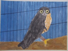 写真：動物園賞の作品