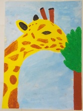 写真：動物園賞の作品