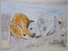 写真：動物園賞の作品