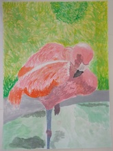 写真：動物園賞の作品