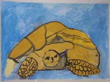 写真：動物園賞の作品