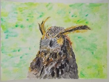 写真：動物園賞の作品