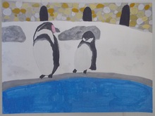 写真：動物園賞の作品