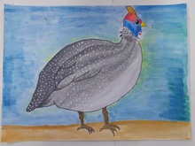 写真：動物園賞の作品