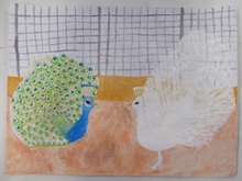 写真：動物園賞の作品