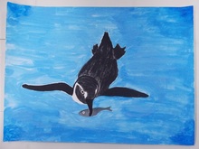 写真：動物園賞の作品