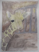 写真：動物園賞の作品