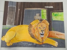 動物園賞の作品